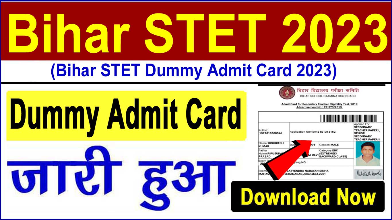 Bihar STET Dummy Admit Card 2023